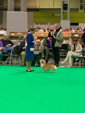 The World's Greatest Dog Show - Crufts 2022