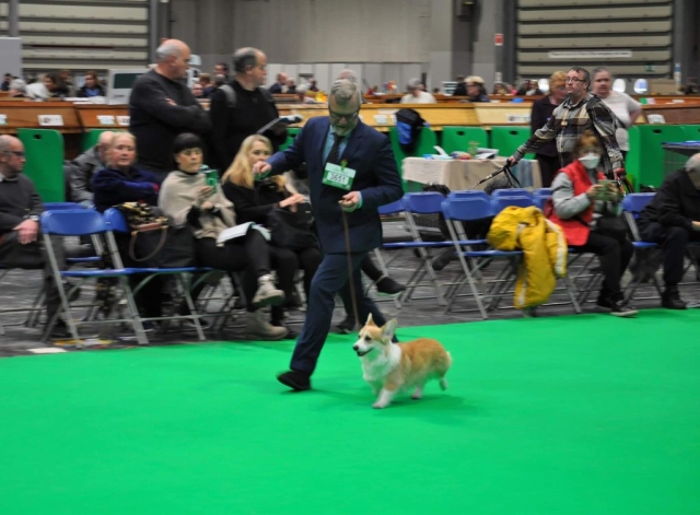 The World's Greatest Dog Show - Crufts 2022