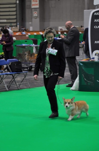 The World's Greatest Dog Show - Crufts 2022