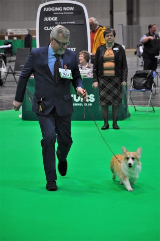 The World's Greatest Dog Show - Crufts 2022