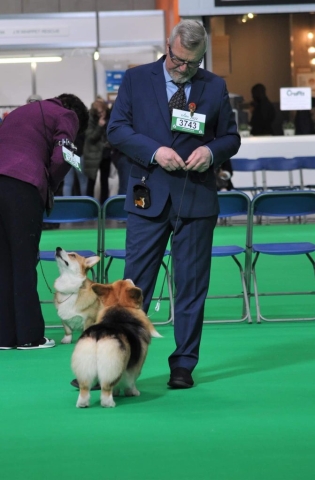 The World's Greatest Dog Show - Crufts 2022