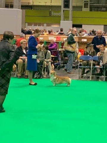 The World's Greatest Dog Show - Crufts 2022