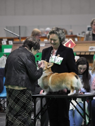 The World's Greatest Dog Show - Crufts 2022