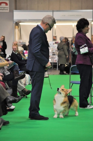 The World's Greatest Dog Show - Crufts 2022