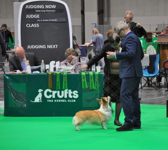 The World's Greatest Dog Show - Crufts 2022