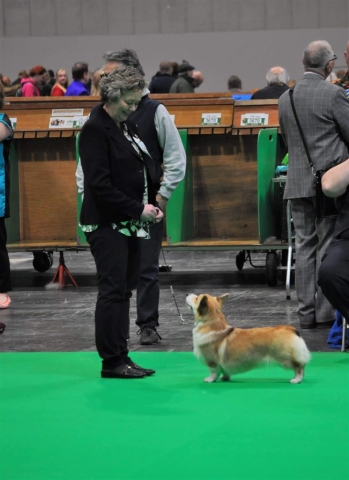 The World's Greatest Dog Show - Crufts 2022