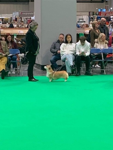 The World's Greatest Dog Show - Crufts 2022