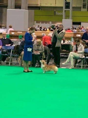 The World's Greatest Dog Show - Crufts 2022