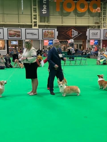 The World's Greatest Dog Show - Crufts 2022