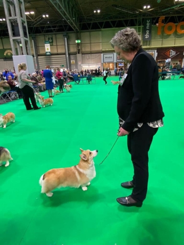 The World's Greatest Dog Show - Crufts 2022