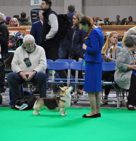 The World's Greatest Dog Show - Crufts 2022