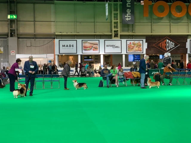 The World's Greatest Dog Show - Crufts 2022