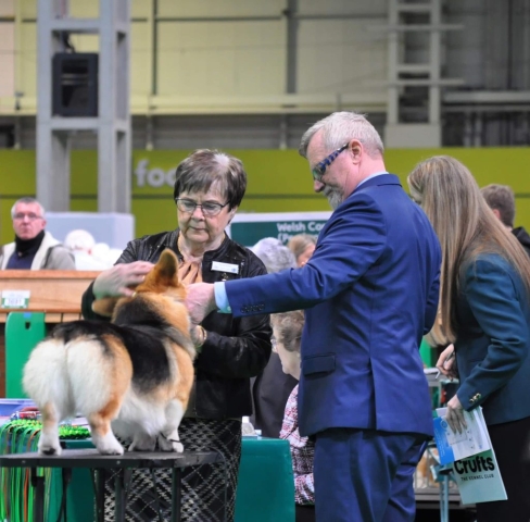 The World's Greatest Dog Show - Crufts 2022