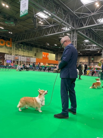 The World's Greatest Dog Show - Crufts 2022