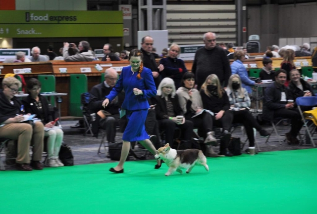 The World's Greatest Dog Show - Crufts 2022