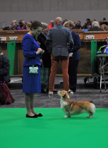 The World's Greatest Dog Show - Crufts 2022