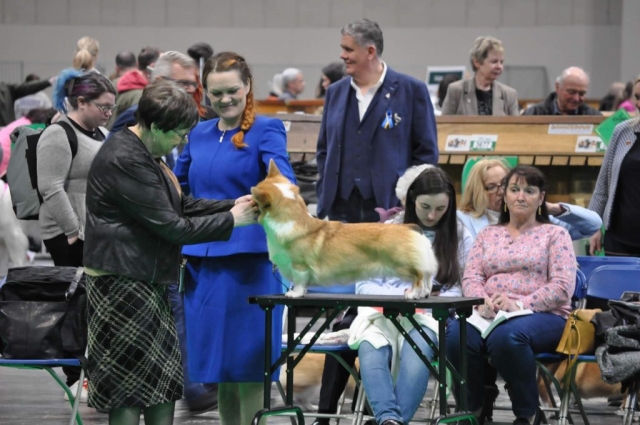 The World's Greatest Dog Show - Crufts 2022